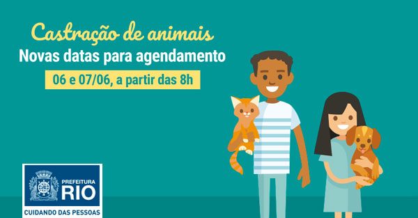 castracao-de-animais-foto