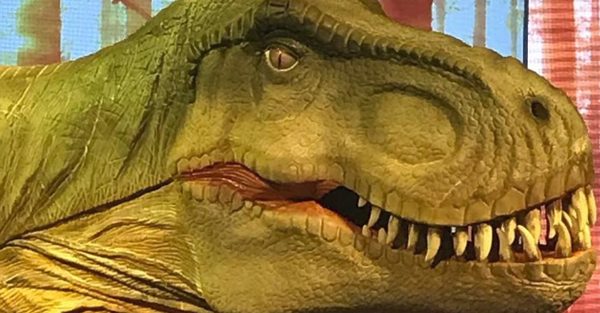 dinos experience nova america foto