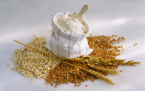 Cereal Grains with White Flower